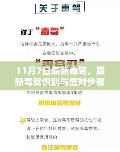 最新毒驾识别与应对步骤指南(初学者与进阶用户必读)