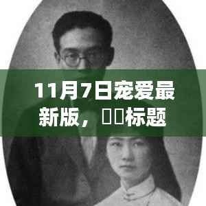 11月7日宠爱最新版,与自然浪漫邂逅的内心平和之旅