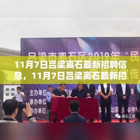 11月7日吕梁离石最新招聘信息全解析与介绍