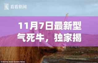 独家揭秘,全新气死牛高科技产品震撼登场,颠覆想象与体验!