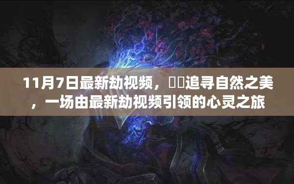 最新劫视频引领的自然之美心灵之旅探索纪实