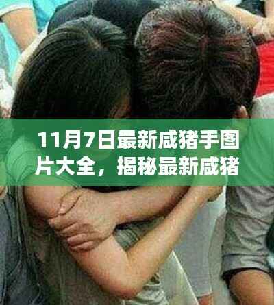 揭秘最新咸猪手事件,图片大全与事件背景、进展与影响深度解析