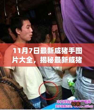 揭秘最新咸猪手事件,图片大全与事件背景、进展与影响深度解析