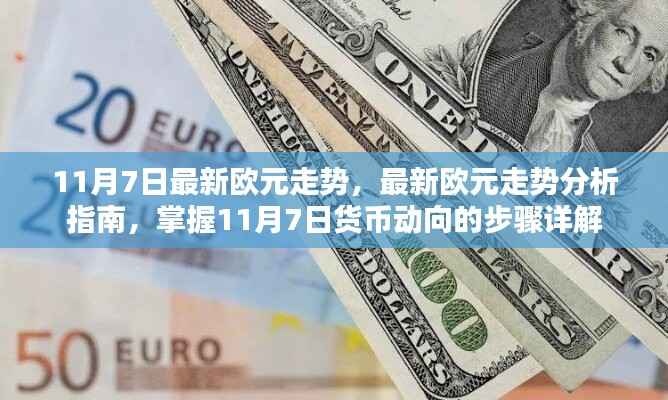 最新欧元走势解析,掌握货币动向的步骤详解(11月7日指南)