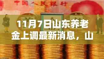 山东养老金上调背后的科技力量,全新智能管理系统体验报告(最新消息)