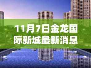 11月7日金龙国际新城独家揭秘,最新动态与惊喜连连