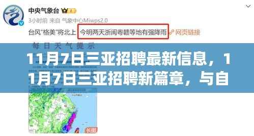 11月7日三亚最新招聘信息,与自然美景邂逅的求职之旅
