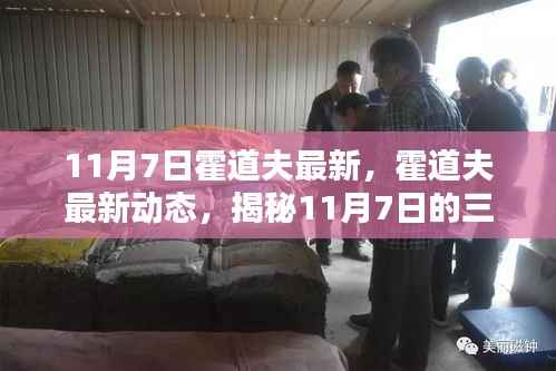 霍道夫最新动态揭秘,11月7日三大要点解析