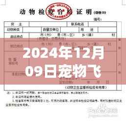 革命性宠物托运体验，2024年宠物飞机托运智能实时动态图系统介绍及实时动态图展示