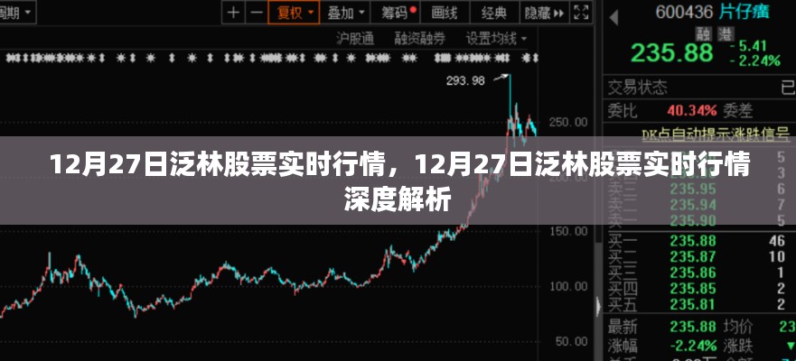 12月27日泛林股票实时行情深度解析与最新动态