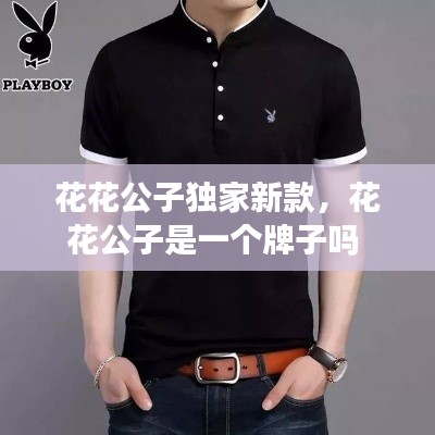 花花公子独家新款,花花公子是一个牌子吗