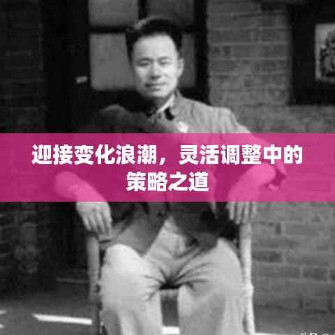 迎接变化浪潮,灵活调整中的策略之道