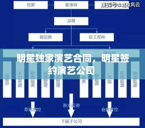明星独家演艺合同,明星签约演艺公司