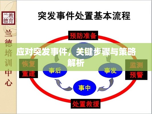 应对突发事件,关键步骤与策略解析
