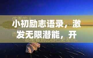 小初励志语录,激发无限潜能,开启人生新篇章!