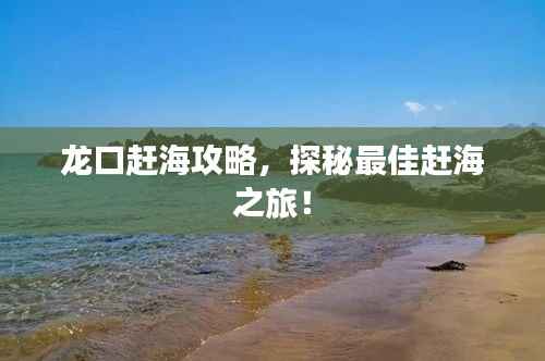 龙口赶海攻略，探秘最佳赶海之旅！