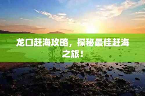 龙口赶海攻略,探秘最佳赶海之旅!