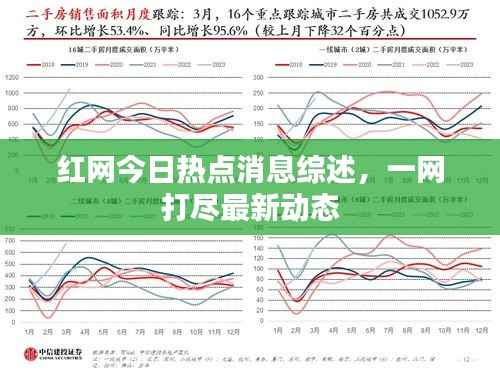 红网今日热点消息综述,一网打尽最新动态
