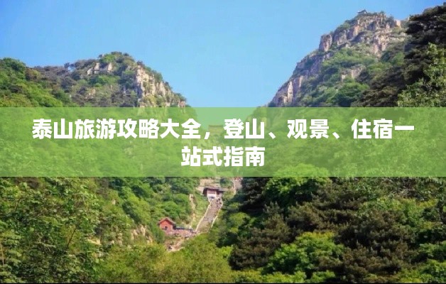 衣不重采 第3页