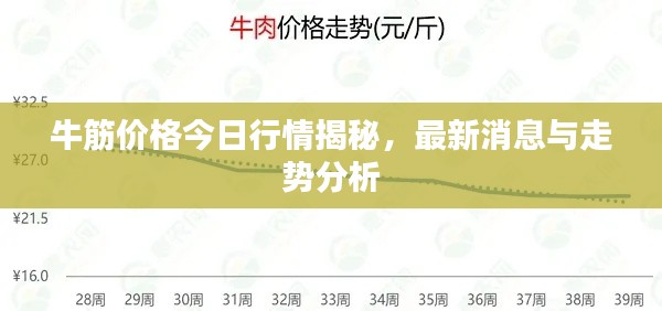 牛筋价格今日行情揭秘,最新消息与走势分析
