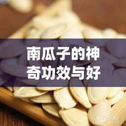 南瓜子的神奇功效与好处，百度带你全面了解！