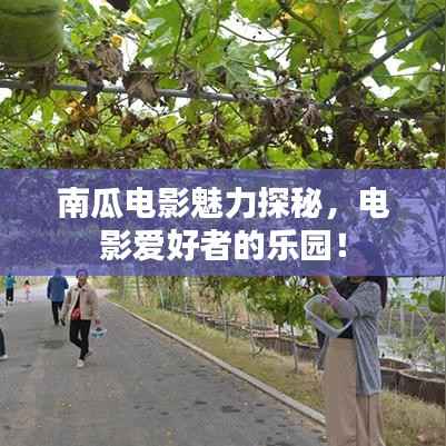 夭桃秾李 第2页