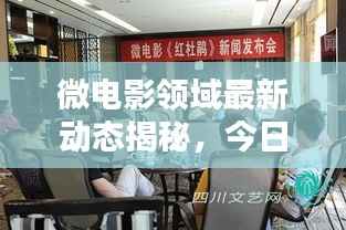 微电影领域最新动态揭秘，今日热门新闻速递