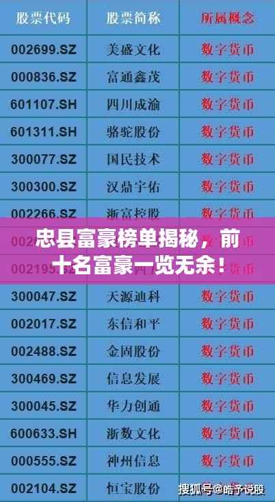 忠县富豪榜单揭秘,前十名富豪一览无余!