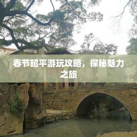 春节昭平游玩攻略，探秘魅力之旅