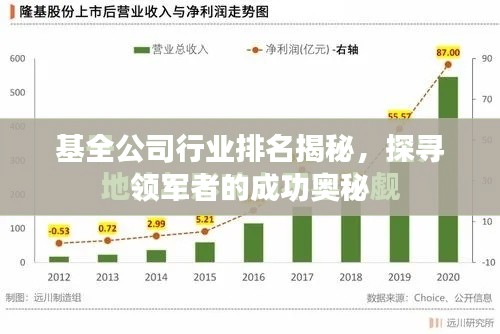 基全公司行业排名揭秘,探寻领军者的成功奥秘