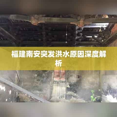福建南安突发洪水原因深度解析