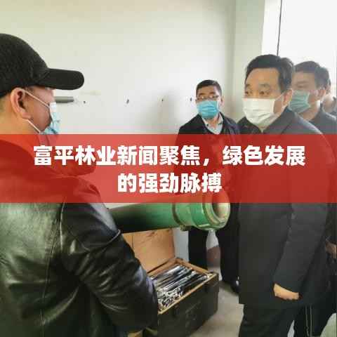富平林业新闻聚焦，绿色发展的强劲脉搏