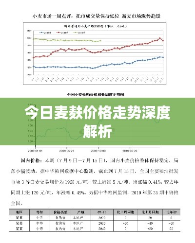 今日麦麸价格走势深度解析